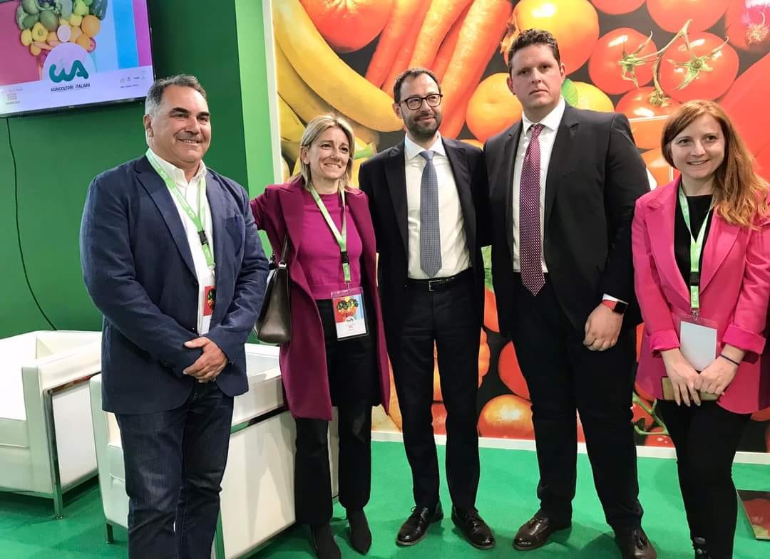 ciliegia di Bisceglie