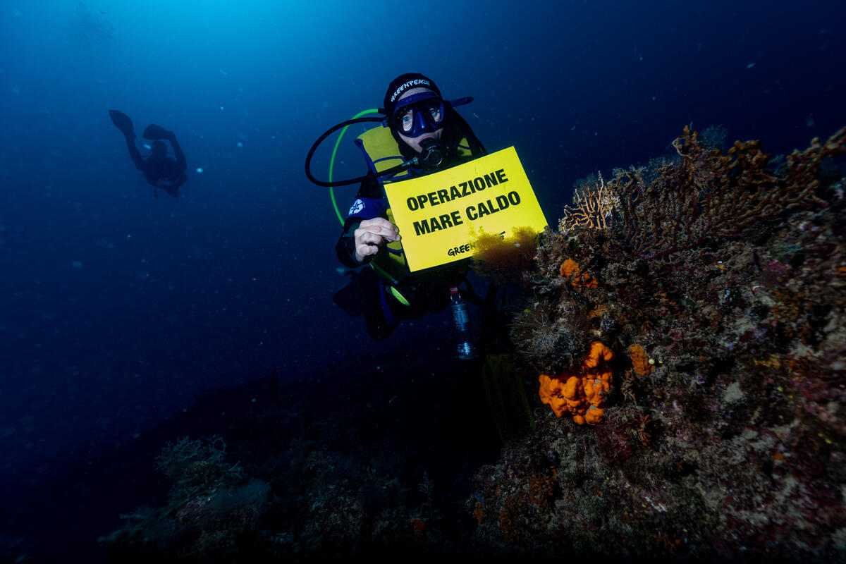 Greenpeace: i mari italiani soffrono gli impatti dei cambiamenti climatici