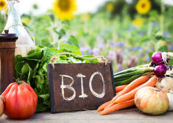 ormazione ed educazione alimentare in materia di agricoltura biologica nelle scuole dell’infanzia, primarie e secondarie di I grado.