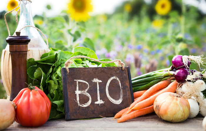 ormazione ed educazione alimentare in materia di agricoltura biologica nelle scuole dell’infanzia, primarie e secondarie di I grado.