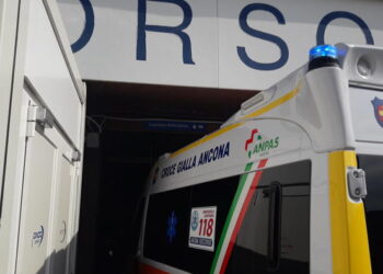 Vaiolo scimmie: caso sospetto ad Ancona, 24enne ricoverata