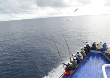 GIORNATA MONDIALE DEGLI OCEANI : WWF E LA BUSINESS UNIT FOOD DI BOLTON GROUP PER “FISH BETTER”