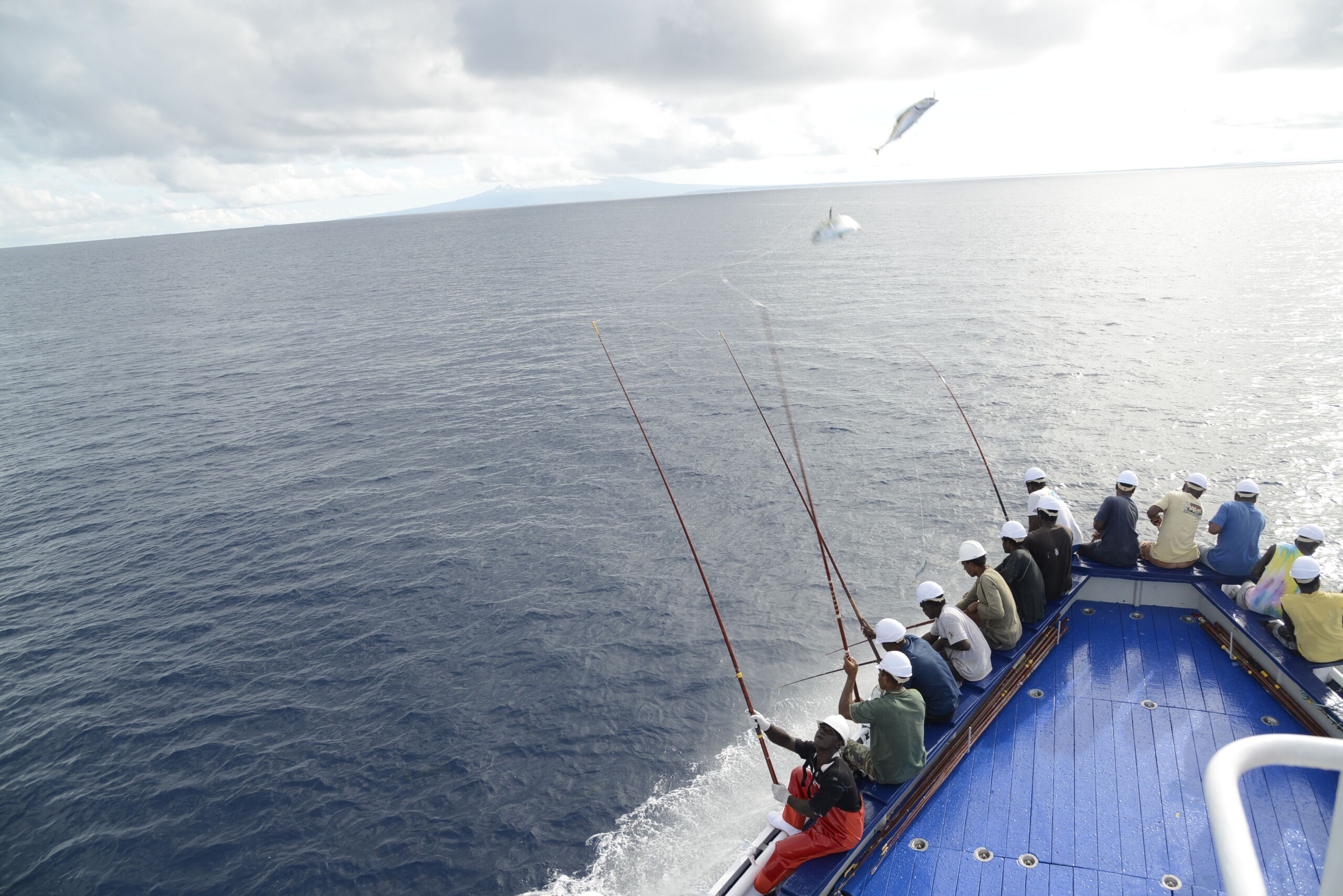 GIORNATA MONDIALE DEGLI OCEANI : WWF E LA BUSINESS UNIT FOOD DI BOLTON GROUP PER “FISH BETTER”