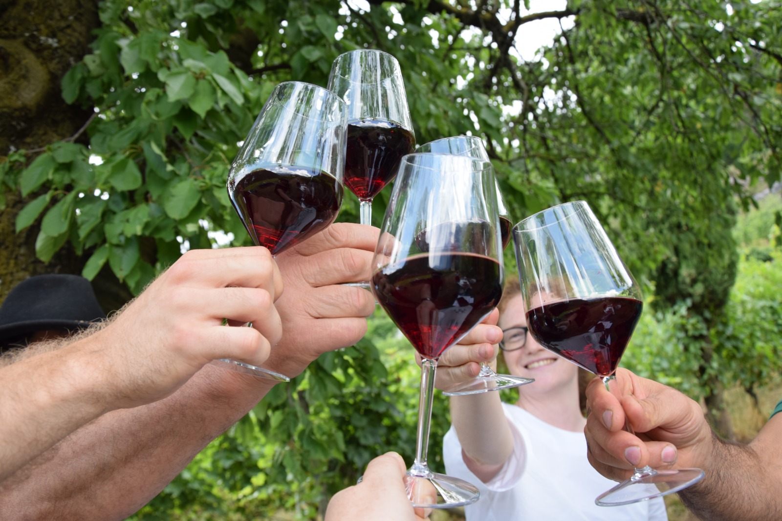 La Strada del Vino e dei Sapori del Trentino al Terre Sicane Wine Fest