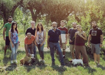 “Be tenerə”: l’oliva ascolana come non l’avete mai conosciuta