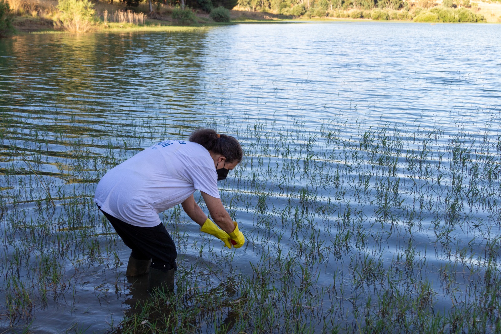 Goletta dei Laghi in Sicilia: promosse le acque dei bacini lacustri monitorati nell’isola