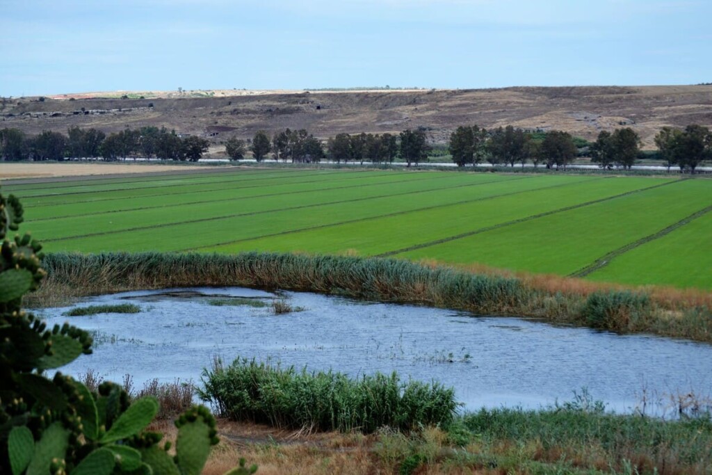 azienda Agribio Conti