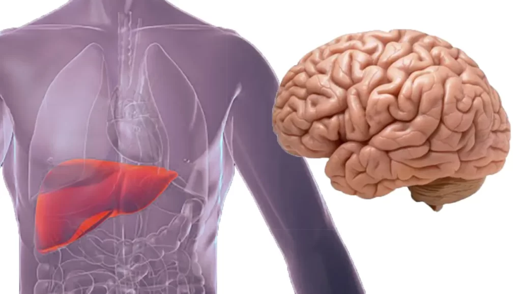 Una gastroenterologia del territorio per la gestione dell’encefalopatia epatica che metta in rete specialisti, medici di famiglia, infermieri e pazienti