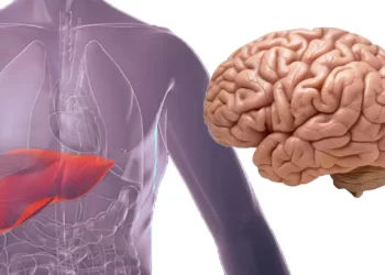 Una gastroenterologia del territorio per la gestione dell’encefalopatia epatica che metta in rete specialisti, medici di famiglia, infermieri e pazienti