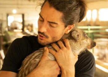 Nessun animale dovrebbe essere privato della vita, né per essere trasformato in cibo, né per altro