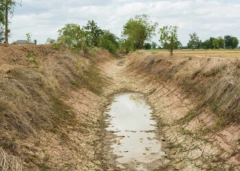 Allarme siccità: l’Italia ha sempre più sete