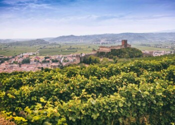 Soave MultiVerso: tre giorni dedicati al meglio del Soave