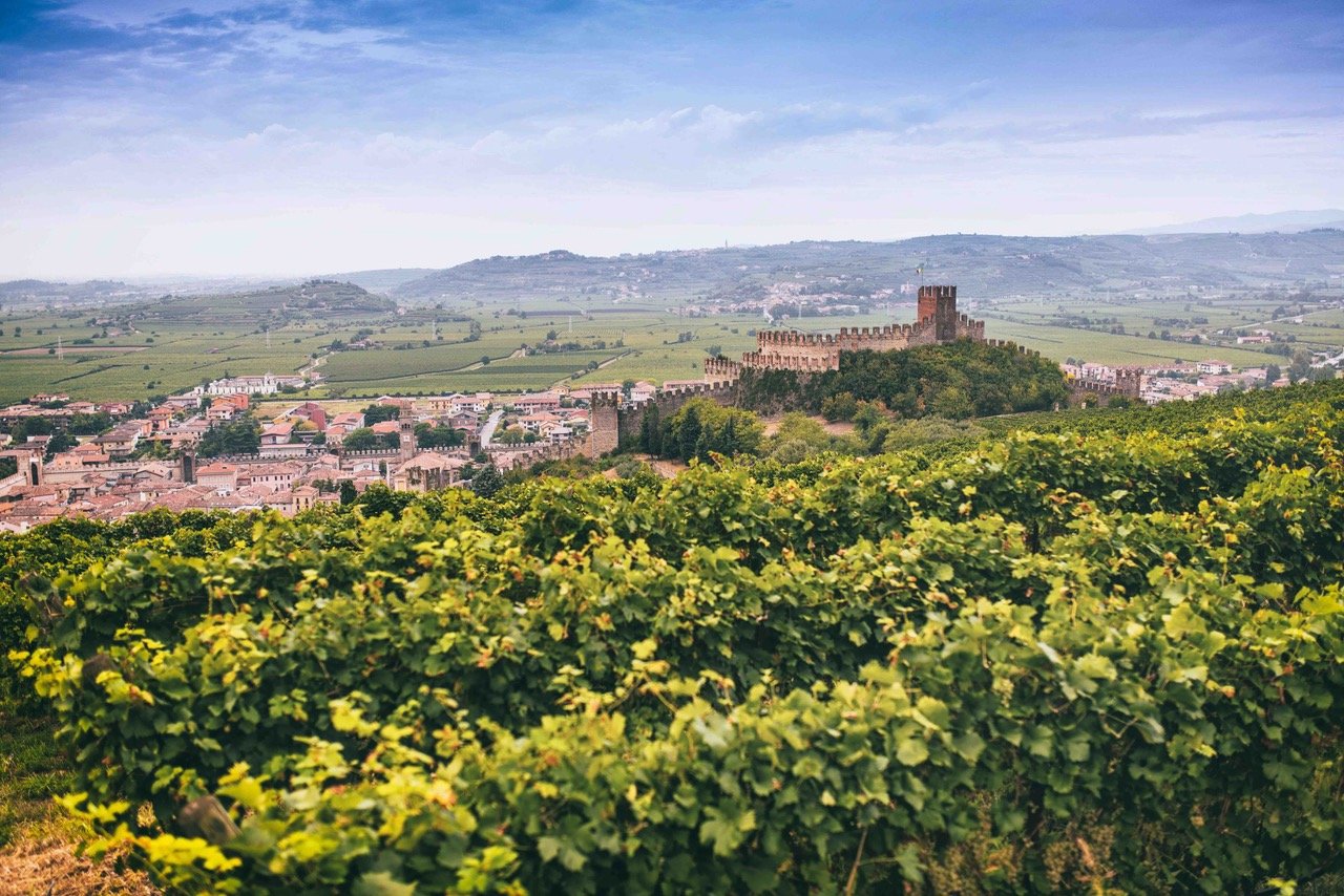 Soave MultiVerso: tre giorni dedicati al meglio del Soave