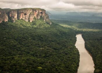 Amazzonia, Intelligenza Artificiale contro la deforestazione