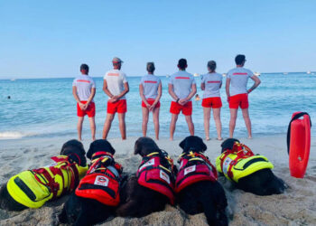 Cani eroi salvano 5 persone in Sicilia e nel Lazio