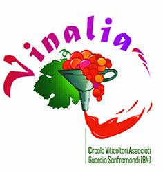 Ottima l’affluenza alla prima serata di Vinalia