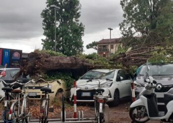Maltempo: danni a decine stabilimenti balneari Versilia