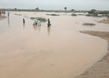 Azione contro la Fame