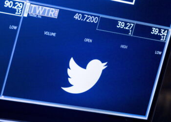 Twitter: corte, fornisca qualche informazione sui bot a Musk