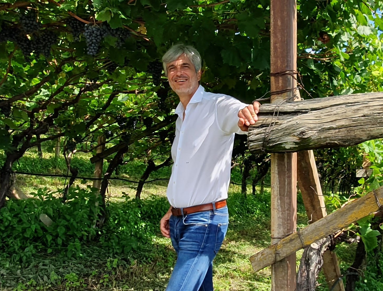 Alto Adige, Borgogna, Bolgheri, Napa Valley: ricercatore scopre il filo rosso che unisce i terroir dei vini più pregiati al mondo