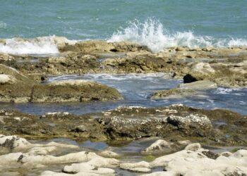 Uomo di 60 anni disperso in mare ad Ancona