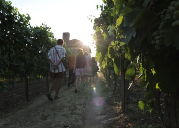 Domani, con “Calici di stelle”, cala il sipario sulla XXIX edizione di Vinalia