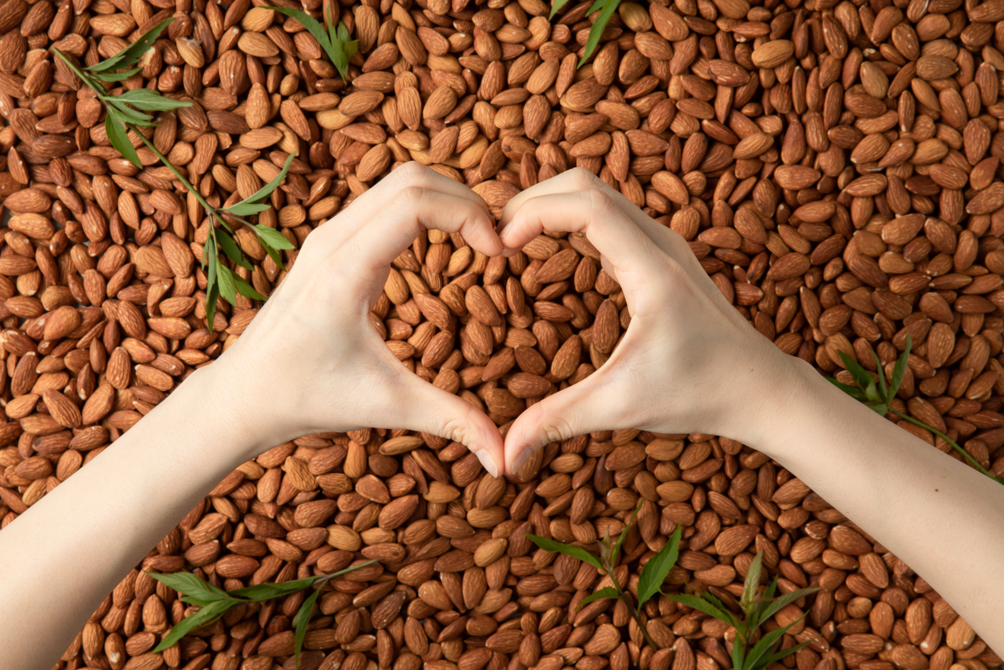 World Heart Day, prendi a cuore il tuo cuore con le mandorle