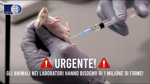 Test sugli animali in UE, 1,4 milioni di firme raccolte. OIPA: «La commissione europea ora obbligata ad andare verso una scienza animal-free»
