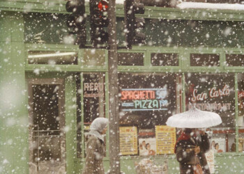 La mostra COLLECTION, 150 fotografie della collezione Bachelot