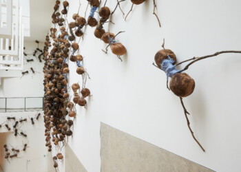 Centinaia di formiche giganti in mostra al Rijksmuseum di Amsterdam