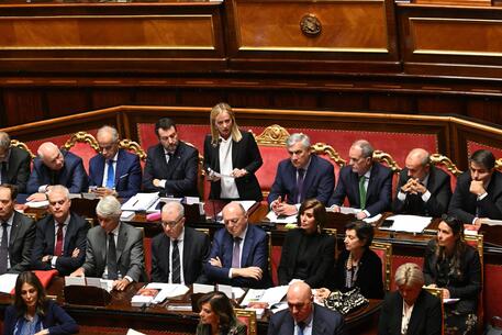 Adesso c'è un Governo politico, legittimato dal consenso elettorale e che saprà dar voce alle istanze della Nazione