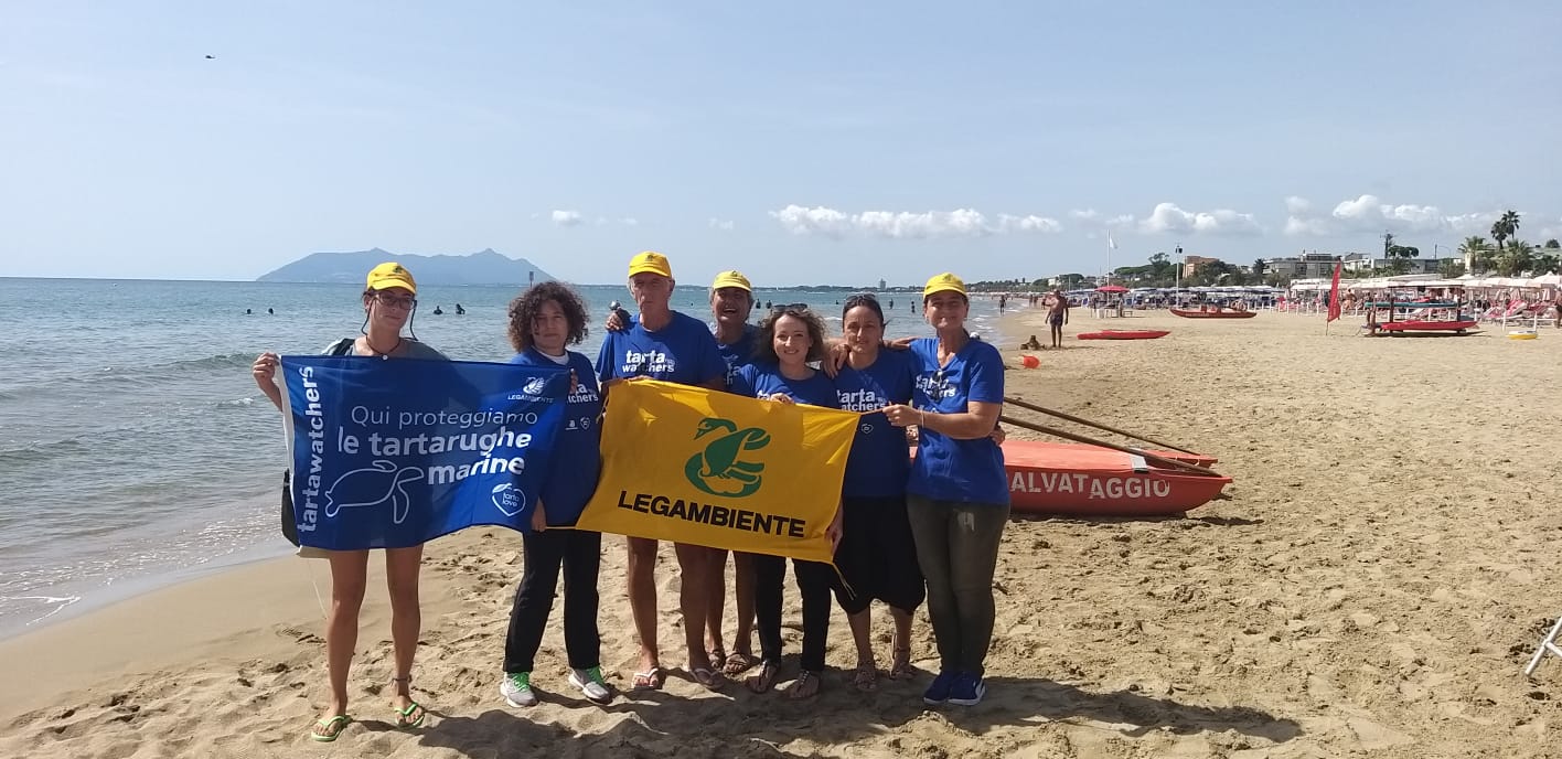 Mamma tartaruga ama i lidi del Sud Italia: Calabria al top, poi Sicilia, Campania e Puglia tra le mete preferite