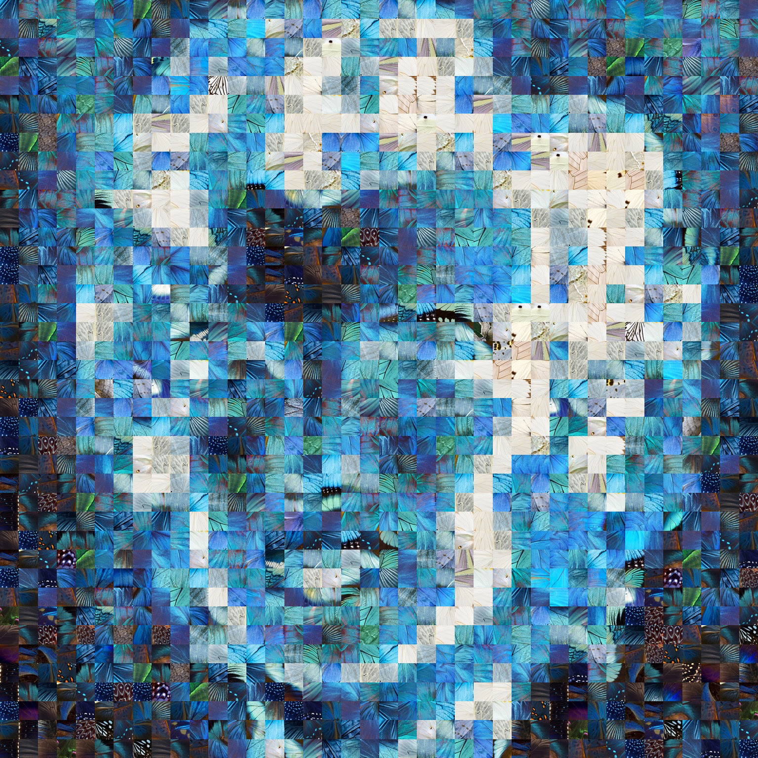 Puzzling Pop di Andrea Morucchio in mostra alla Noema Gallery in occasione di Open Gallery Digital a Roma