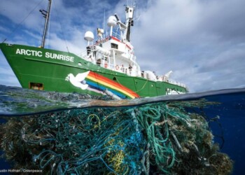 inquinamento degli allevamenti italiani