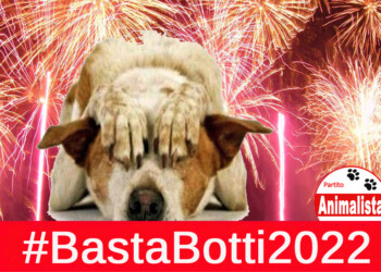 “Basta Botti 2022” da parte del Partito Animalista Italiano per invitare Prefetture e Comuni a Vietare Botti, petardi, mortaretti in questo fine anno