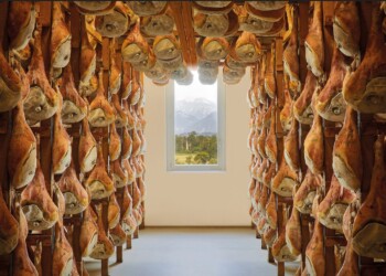 Il Consorzio del Prosciutto di San Daniele migliora il recupero del sale esausto