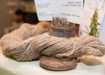 Aspettando CANAPA MUNDI  2023: Natale ecosostenibile con il dono della canapa, pianta millenaria alleata dell’uomo