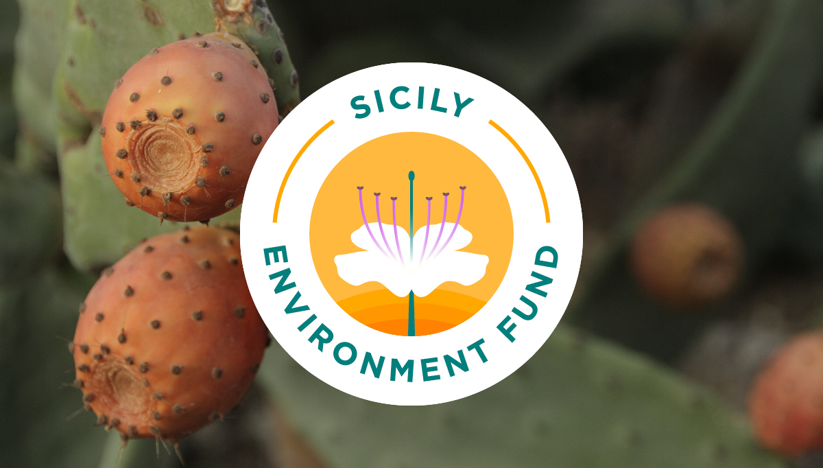 Nasce il Sicily Environment Fund, un fondo siciliano per l’ambiente