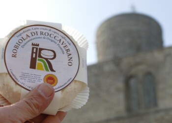 Il Roccaverano DOP vince anche “All’Ombra della Madonnina”