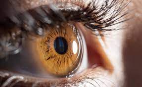 Oculisti: bene trapianto cornea artificiale ma in Italia nessuna carenza tessuti corneali umani