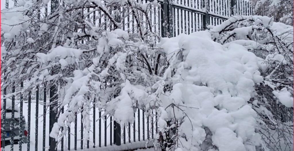 La neve è arrivata in maniera particolarmente abbondante su diverse regioni italiane