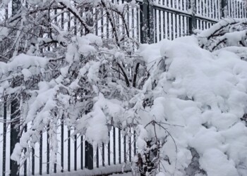 La neve è arrivata in maniera particolarmente abbondante su diverse regioni italiane