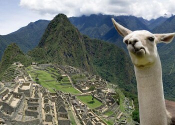 Si tratta, secondo quanto si apprende, di un numero imprecisato di persone che avevano passato la notte nel sito dopo aver visitato la cittadella e che sono in contatto con le autorità italiane.