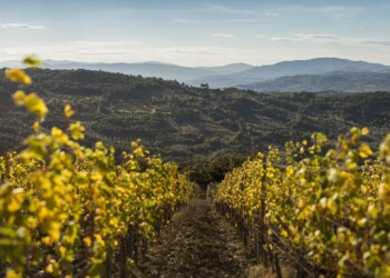 Toscana Wine Architecture si racconta a “WINE IN VENICE”