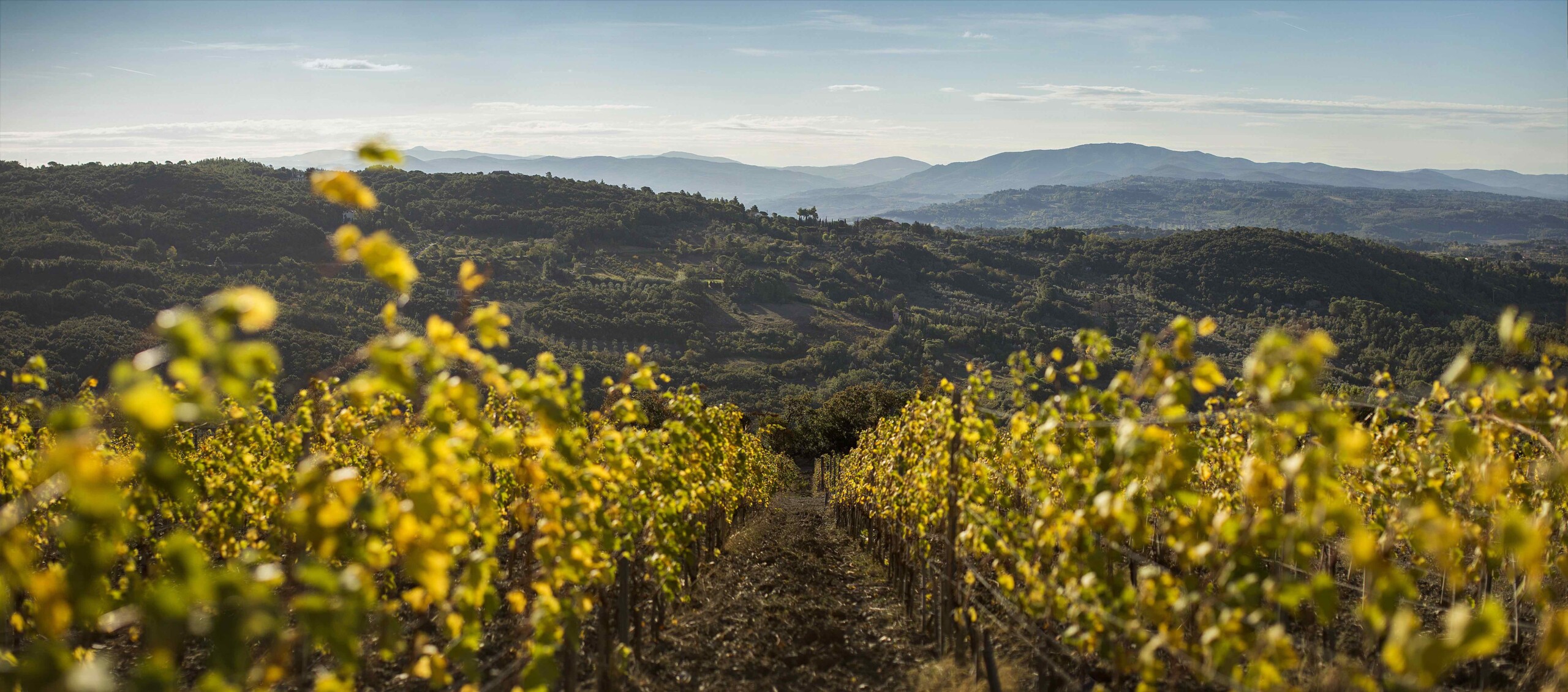 Toscana Wine Architecture si racconta a “WINE IN VENICE”