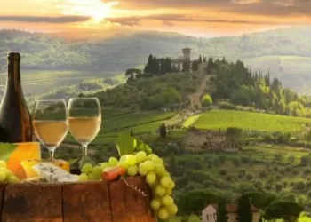 ‘ENOTURISMO MARCHE: DALLA VIGNA ALLA TAVOLA’, PRESENTATO IL PROGETTO