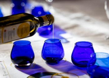 “Anteprima Olio Dop Umbria”, presentata la nuova annata dell’Olio e.v.o.