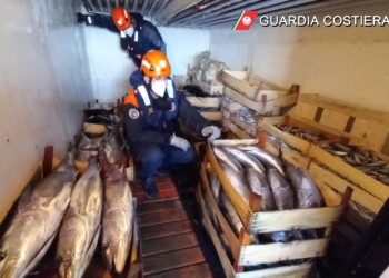 nave GREGORETTI della Guardia Costiera,