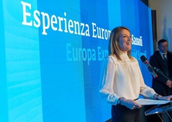 Paolo Zangrillo, Esperienza Europa