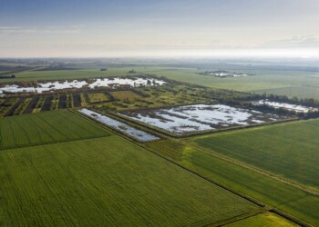 Genagricola 1851 e 3Bee:  test pilota nella tenuta di Spazzate (RA) per calcolare la biodiversità